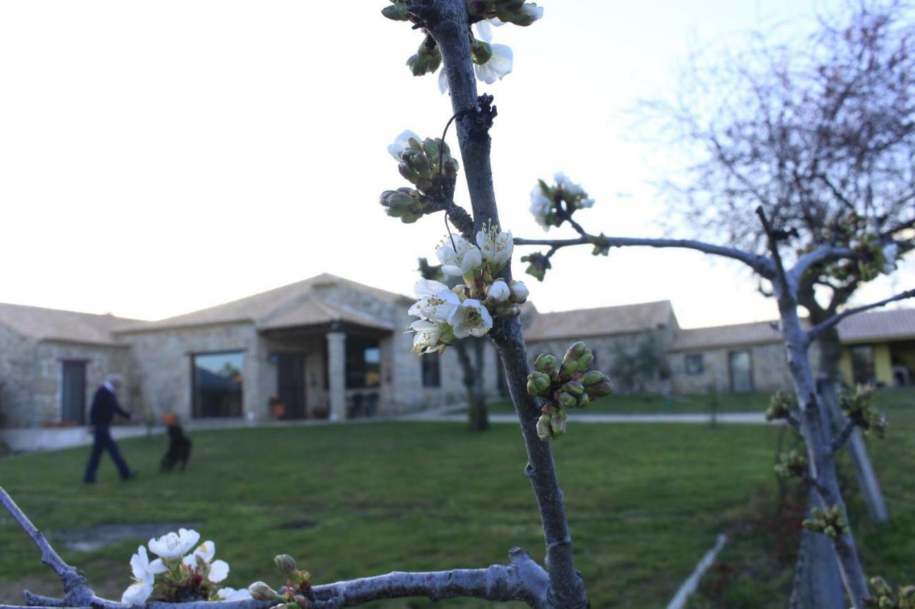 Willa Quinta Da Ribeira Belmonte  Zewnętrze zdjęcie