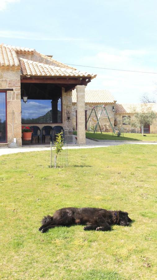 Willa Quinta Da Ribeira Belmonte  Zewnętrze zdjęcie